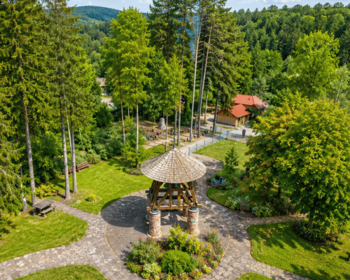 wildpark-schwarzach-wuestenbussard
